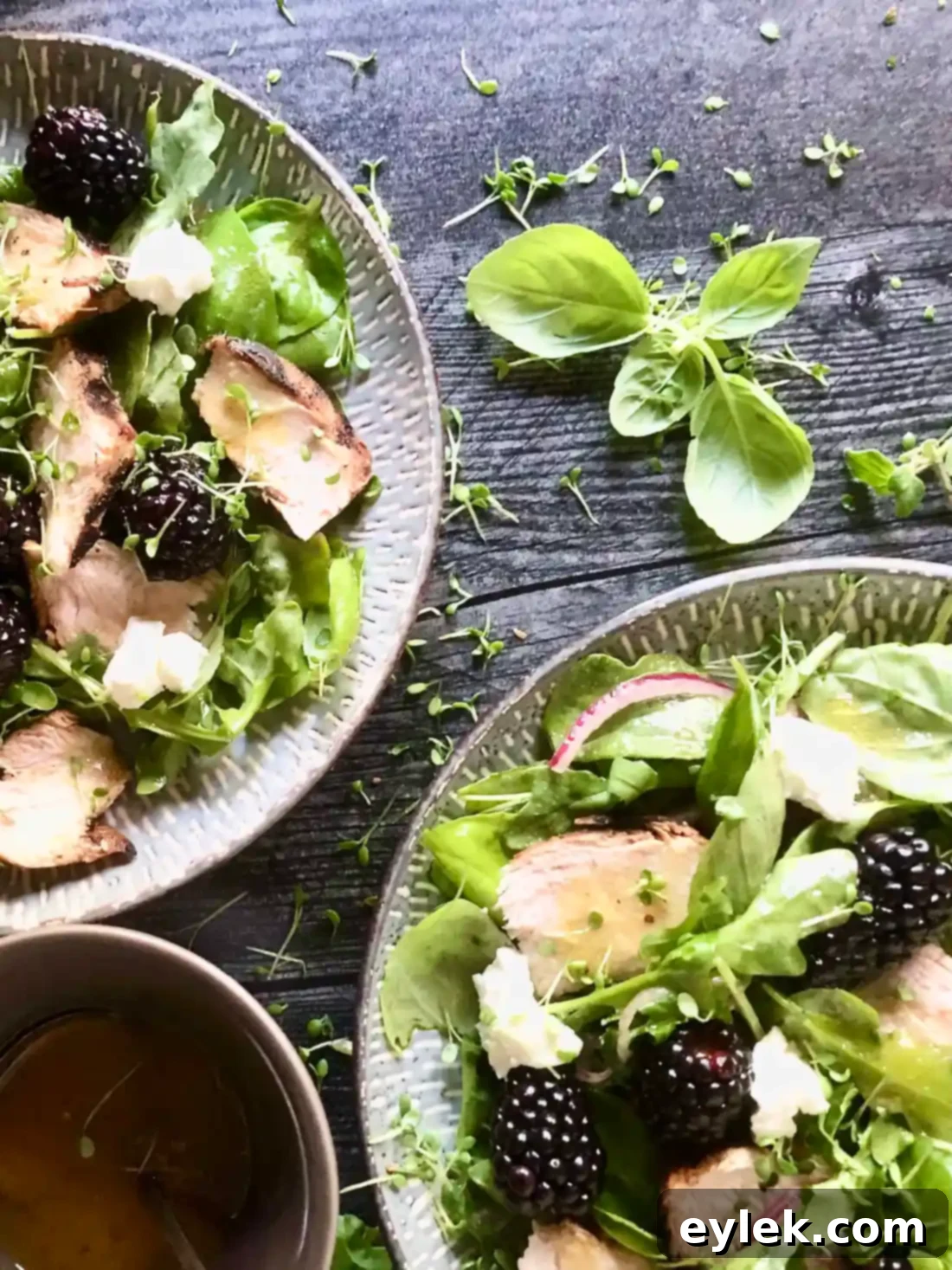 Beautifully plated Basil, Blackberry & Grilled Chicken Salad, ready to eat