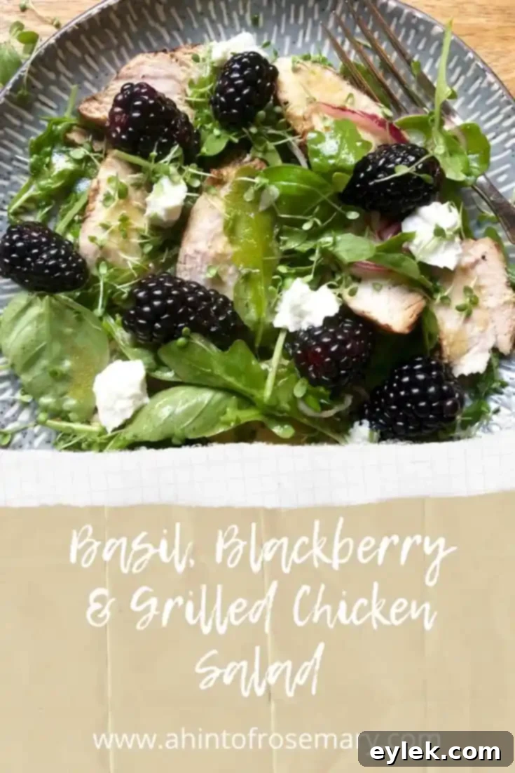 Pin-friendly image of Basil, Blackberry & Grilled Chicken Salad
