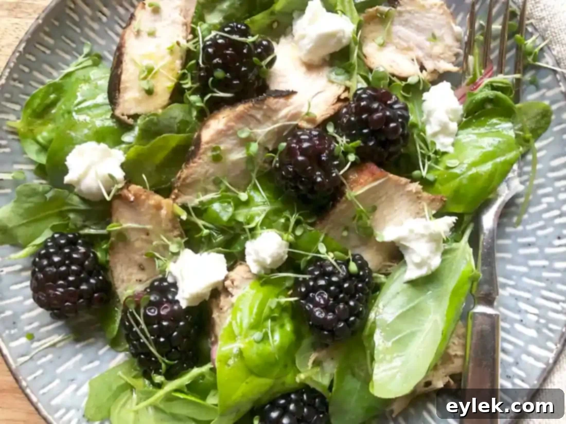 Assembled Basil, Blackberry & Grilled Chicken Salad ready for serving