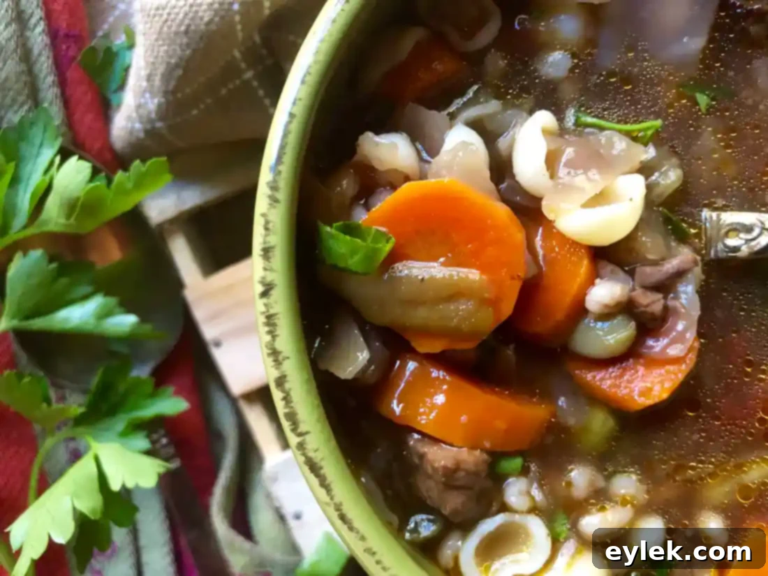 Closer view of The Best Beef Barley Soup with pasta