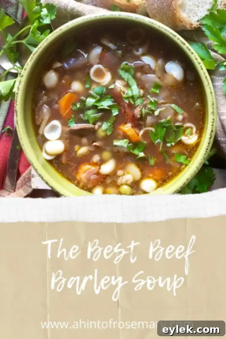A bowl of hot, hearty beef barley soup, ready to be enjoyed