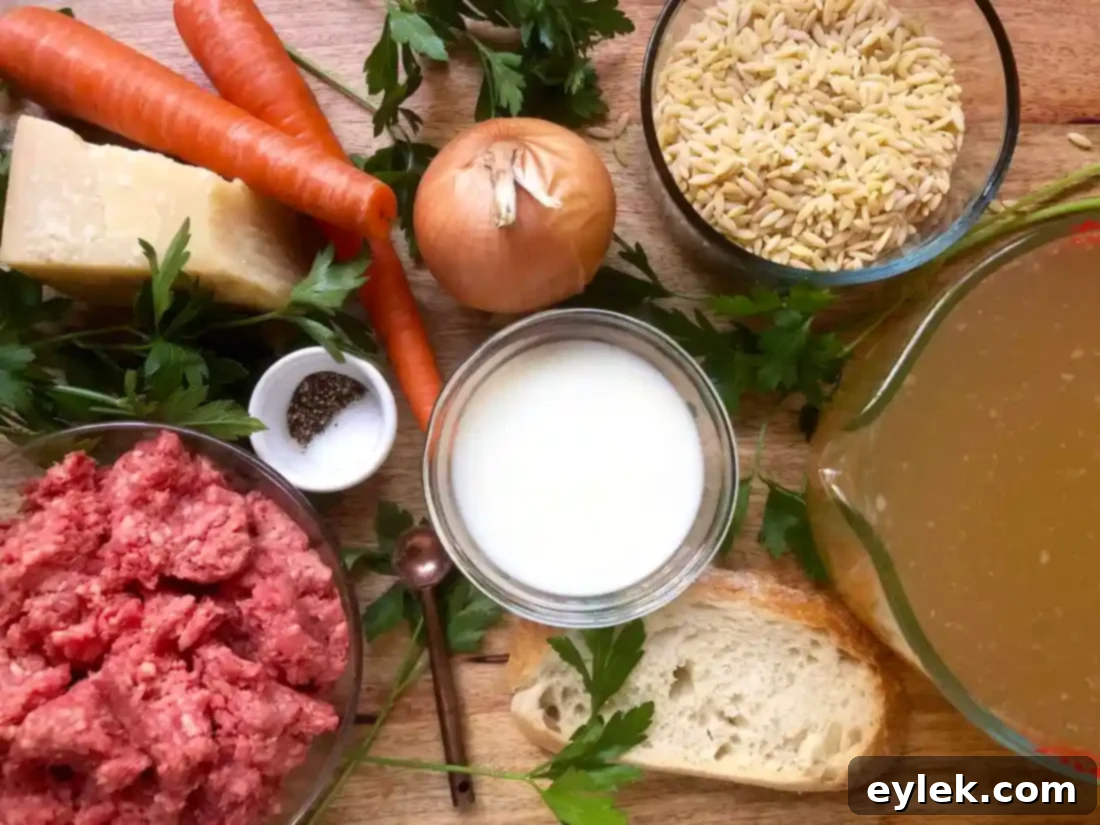 nourishing polpette & orzo in basic broth