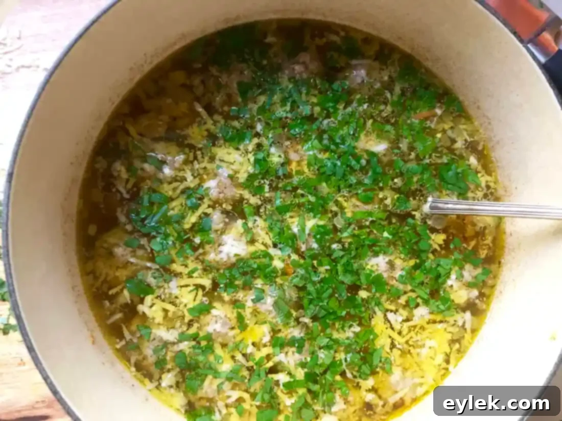 Nourishing Polpette and Orzo Soup 11 nourishing polpette & orzo in basic broth