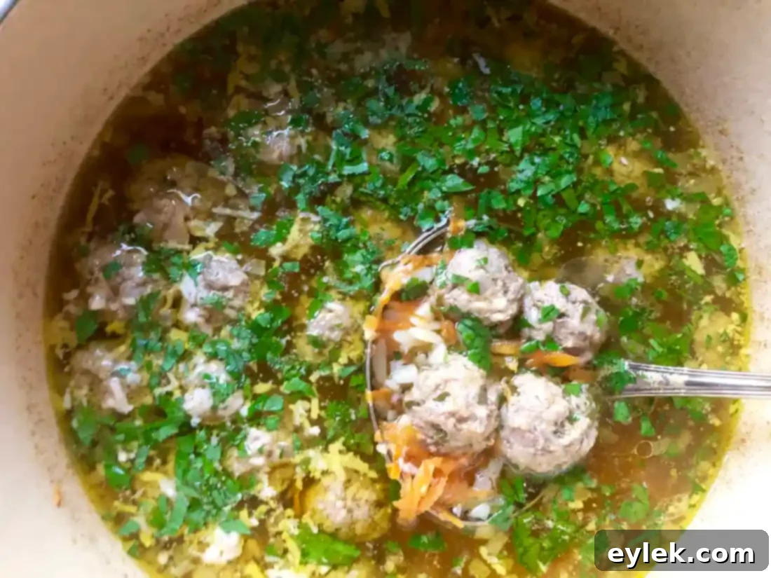 Nourishing Polpette and Orzo Soup 12 nourishing polpette & orzo in basic broth