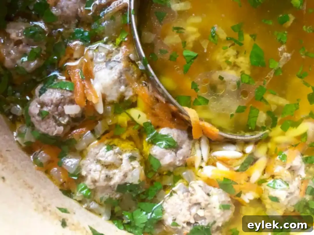 Nourishing Polpette and Orzo Soup 13 nourishing polpette & orzo in basic broth