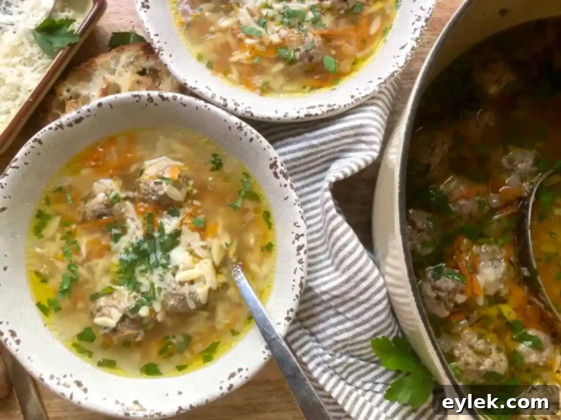 nourishing polpette & orzo in basic broth
