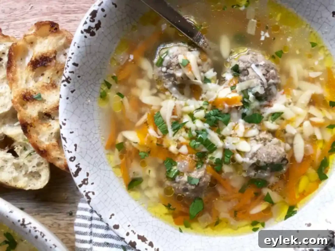 nourishing polpette & orzo in basic broth