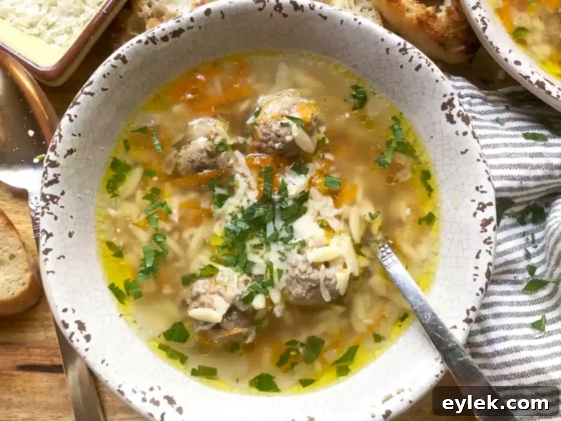 nourishing polpette & orzo in basic broth