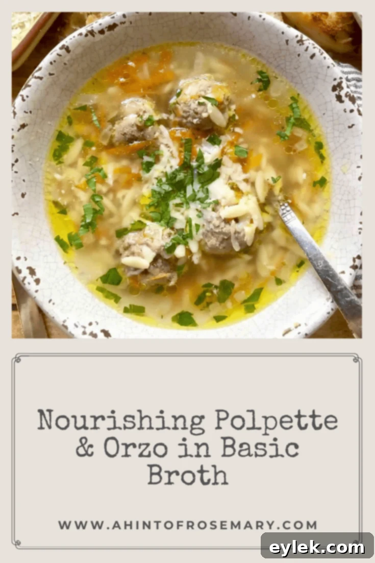 Nourishing Polpette & Orzo In Basic Broth 