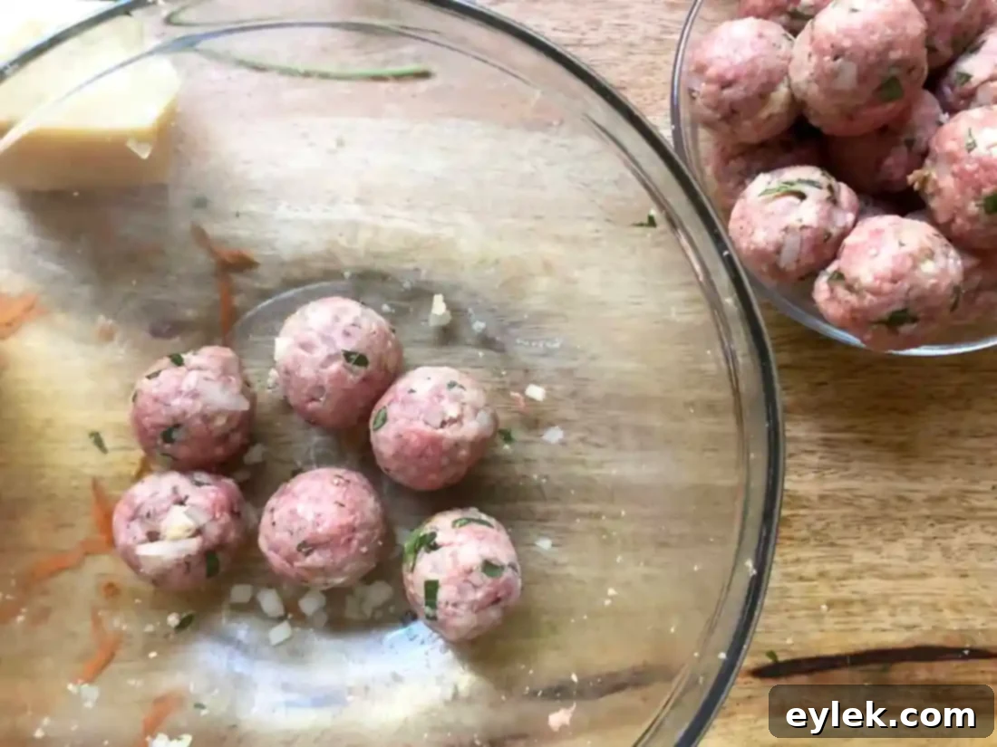 nourishing polpette & orzo in basic broth