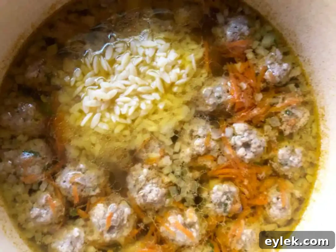 Nourishing Polpette and Orzo Soup 9 nourishing polpette & orzo in basic broth
