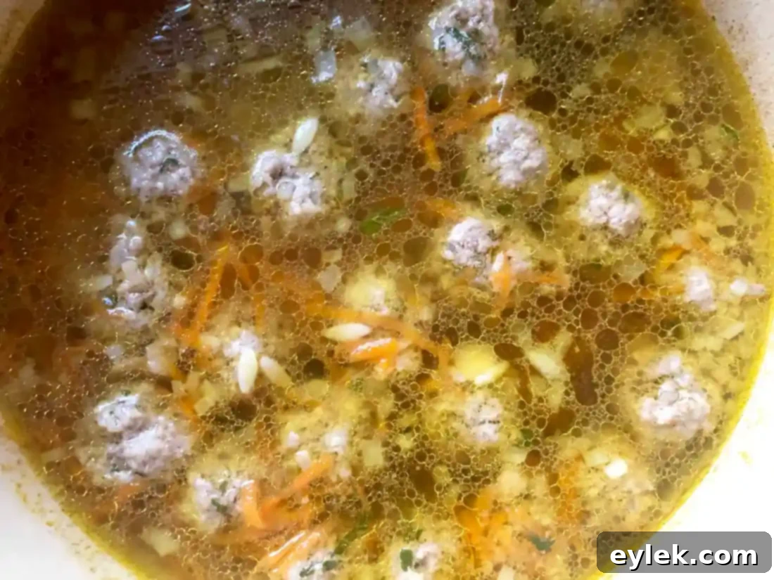 Nourishing Polpette and Orzo Soup 10 nourishing polpette & orzo in basic broth