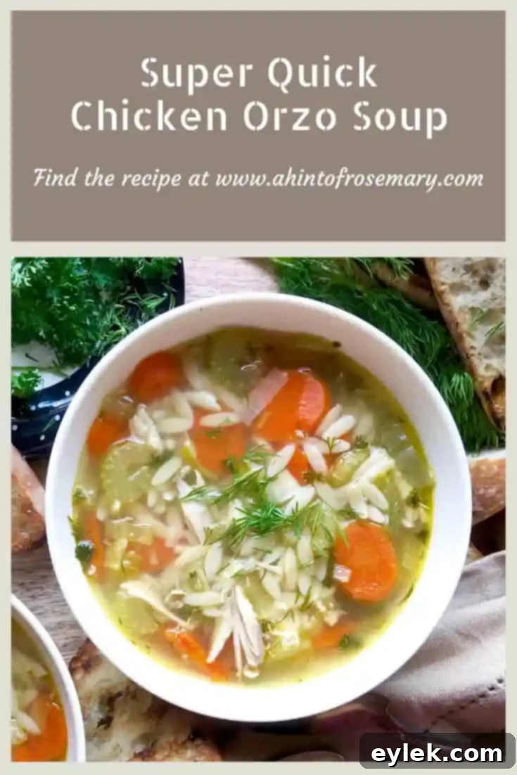 Super Quick Chicken Orzo Soup