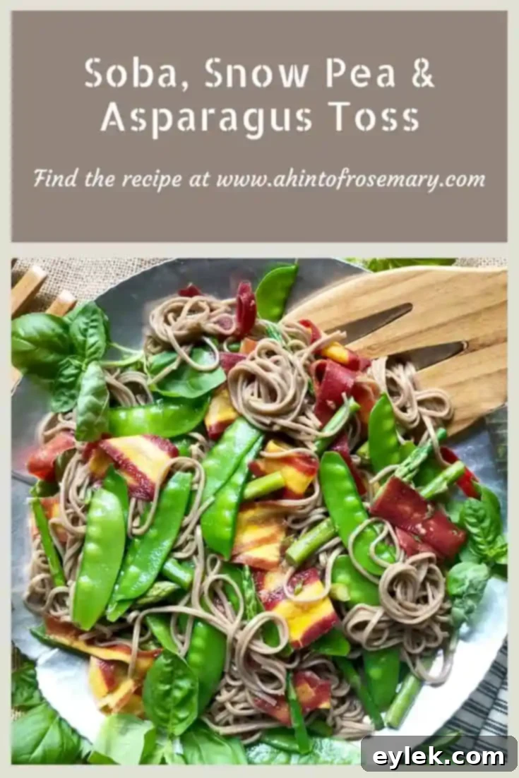 Soba, Snow Pea & Asparagus Toss