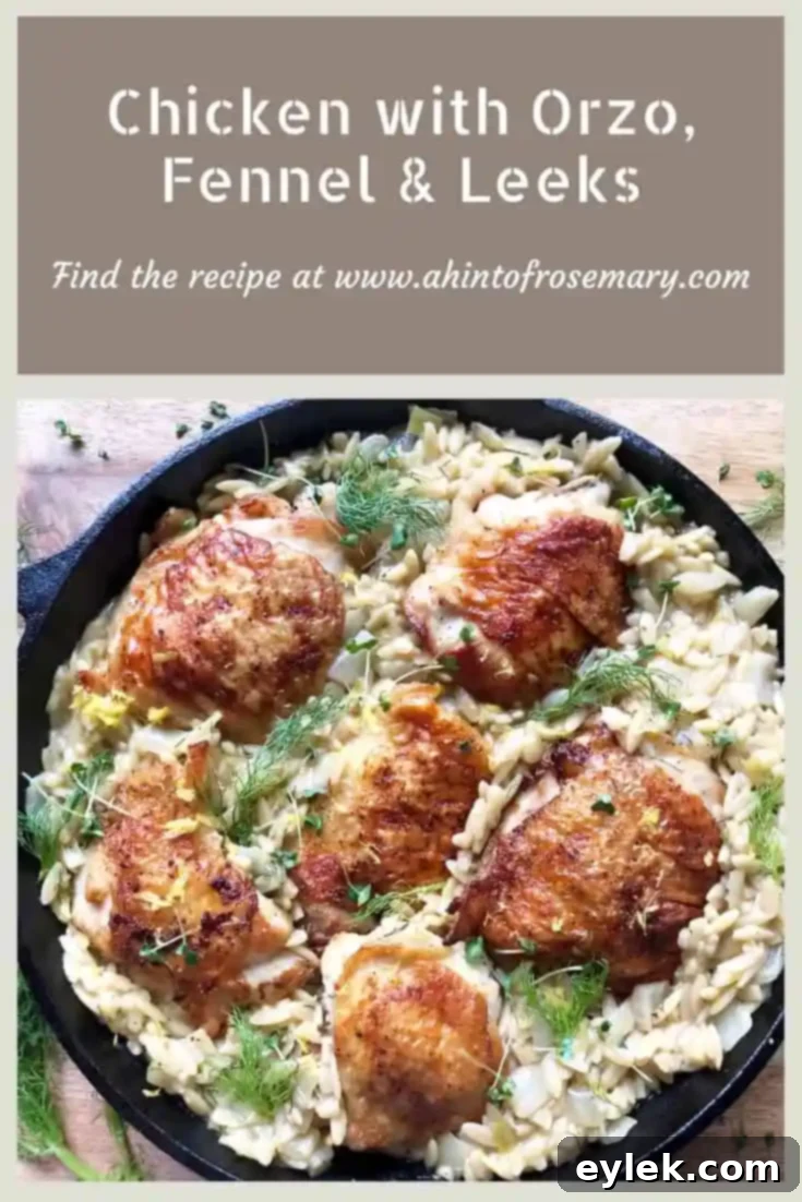 Chicken with Orzo, Fennel & Leeks