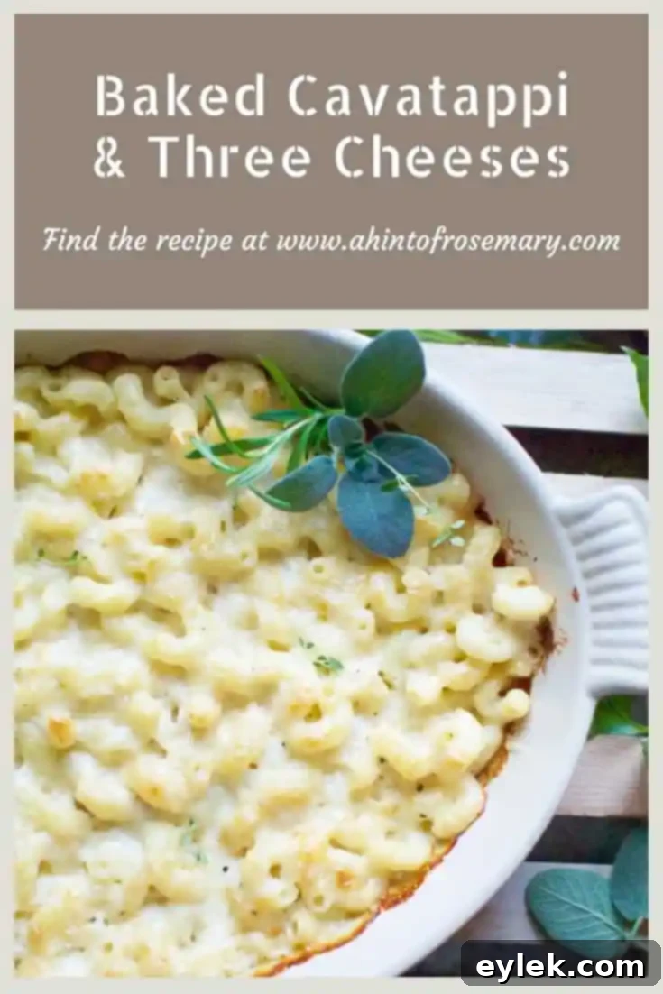 Baked Cavatappi & Three Cheeses