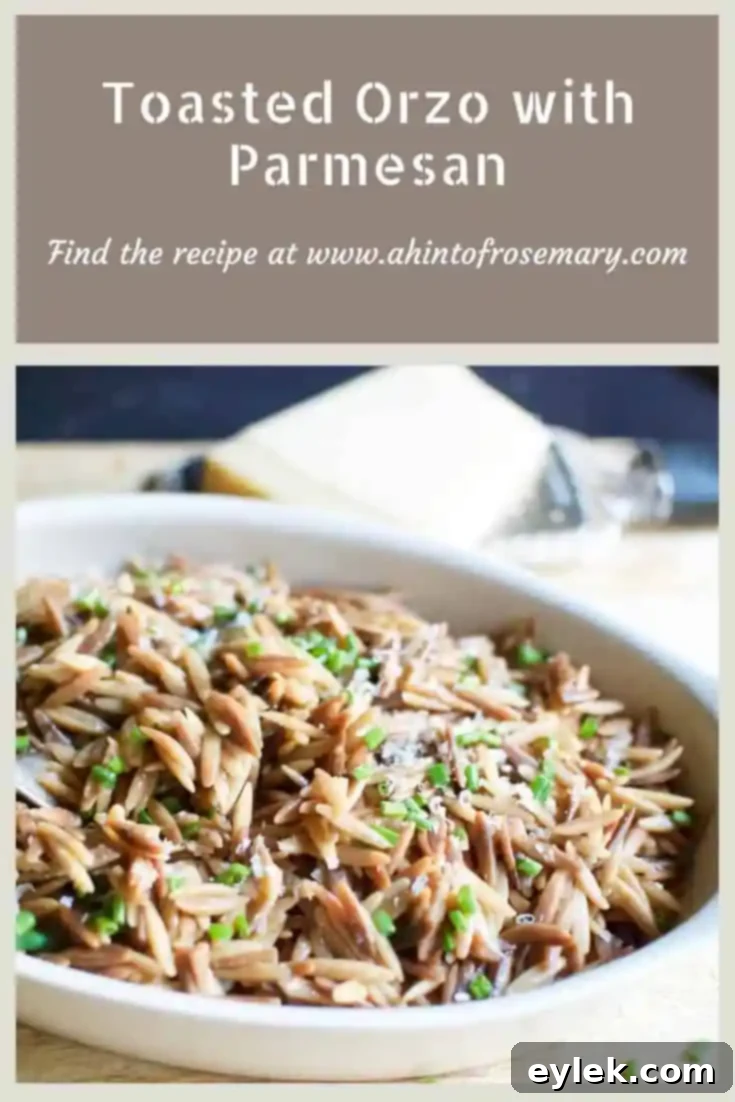 Toasted Orzo with Parmesan