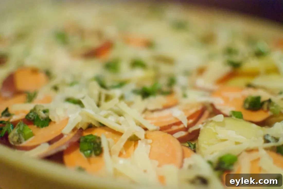 gold & sweet potato gratin