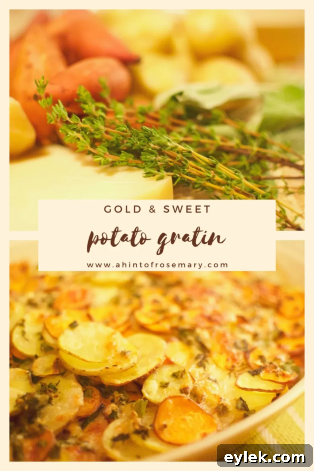 gold & sweet potato gratin
