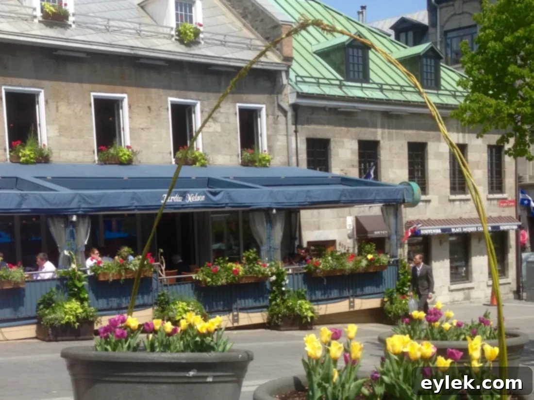 Outdoor cafes in Place Jacques-Cartier