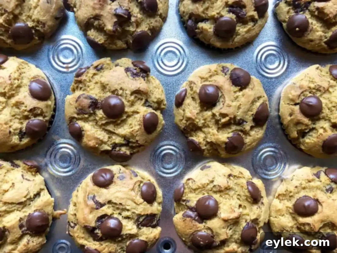 Baked muffins in tin