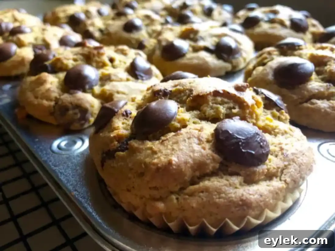 Baked muffins on a cooling rack