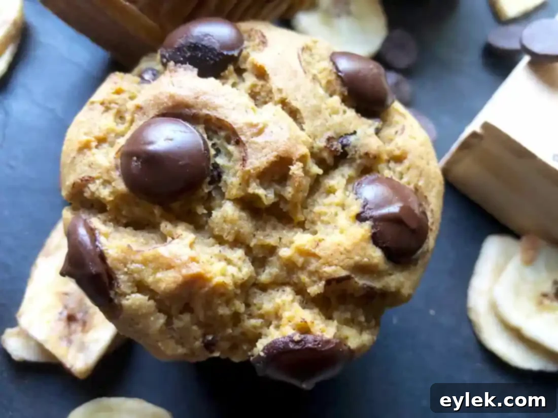 Muffins on a cooling rack