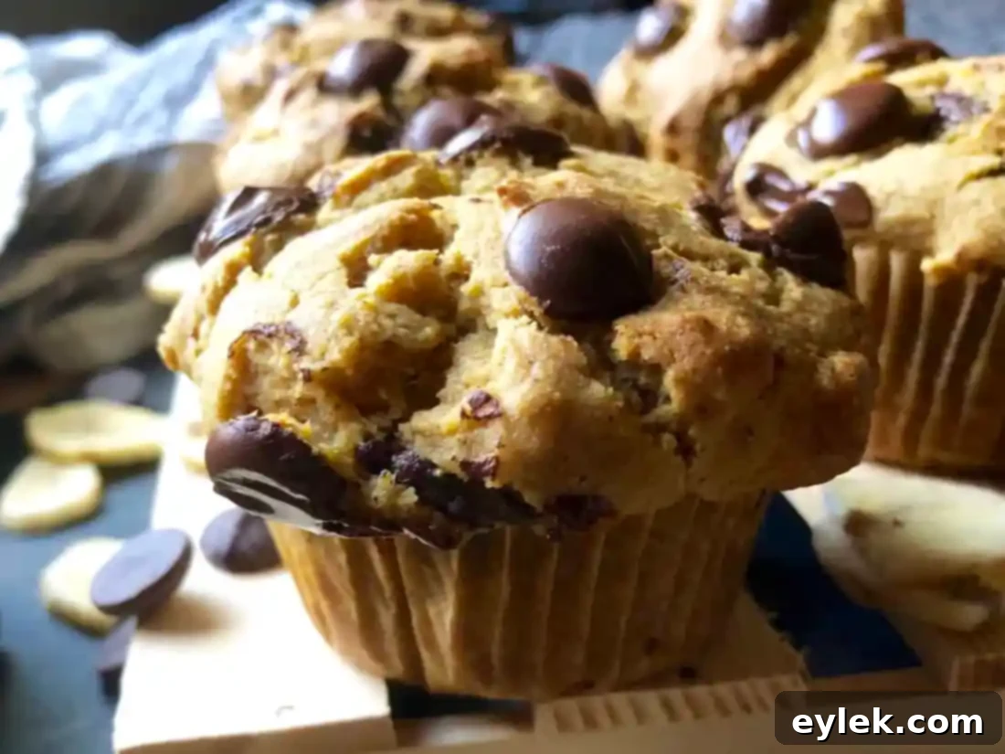 Two banana pumpkin chocolate chip muffins