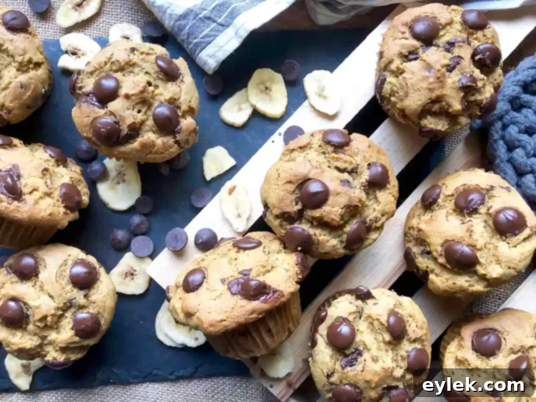 Closeup of a banana pumpkin chocolate chip muffin