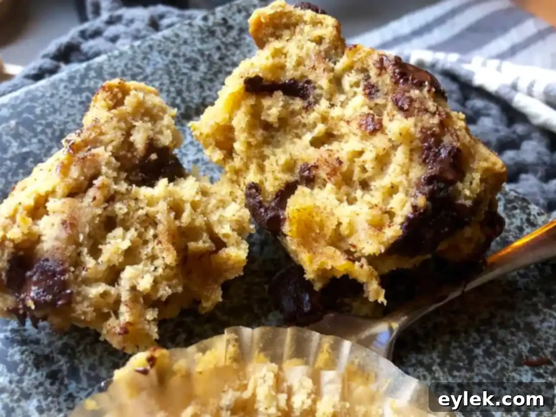 Close up of a muffin with chocolate chips