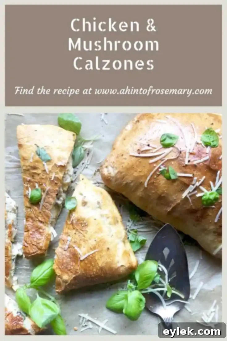 Rotisserie Chicken Reinvented 5 Chicken & Mushroom Calzones