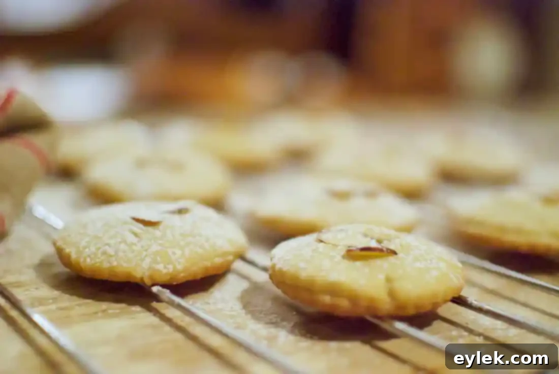 Baked Almontina cookies cooling on a wire rack.