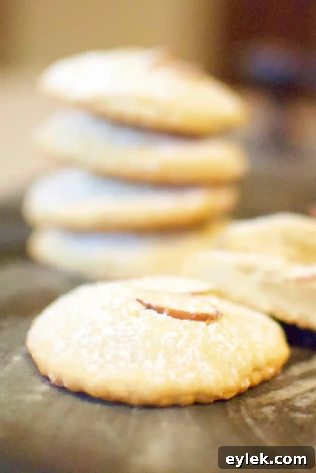 A close-up of a perfectly baked Almontina cookie, dusted with powdered sugar, showcasing its delicate texture.