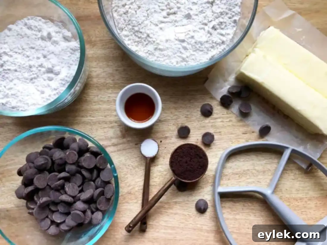 Espresso Chocolate Chip Shortbread Cookies