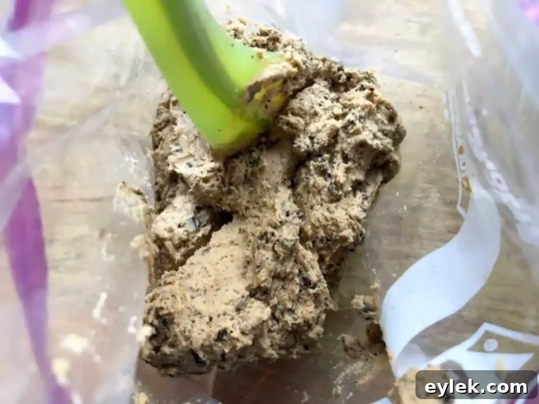 Espresso shortbread dough in a ziplock bag