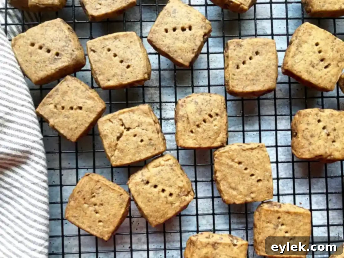 Baked espresso chocolate chip shortbread cookies