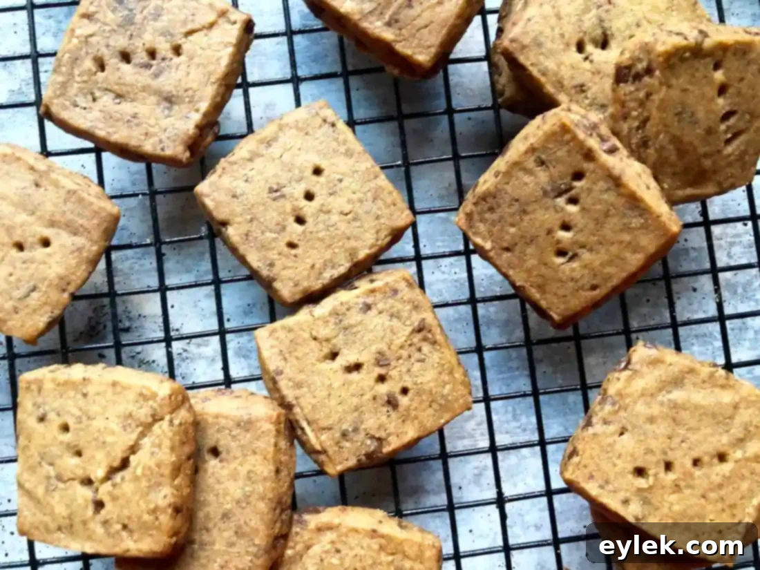 Stacked Espresso Chocolate Chip Shortbread Cookies