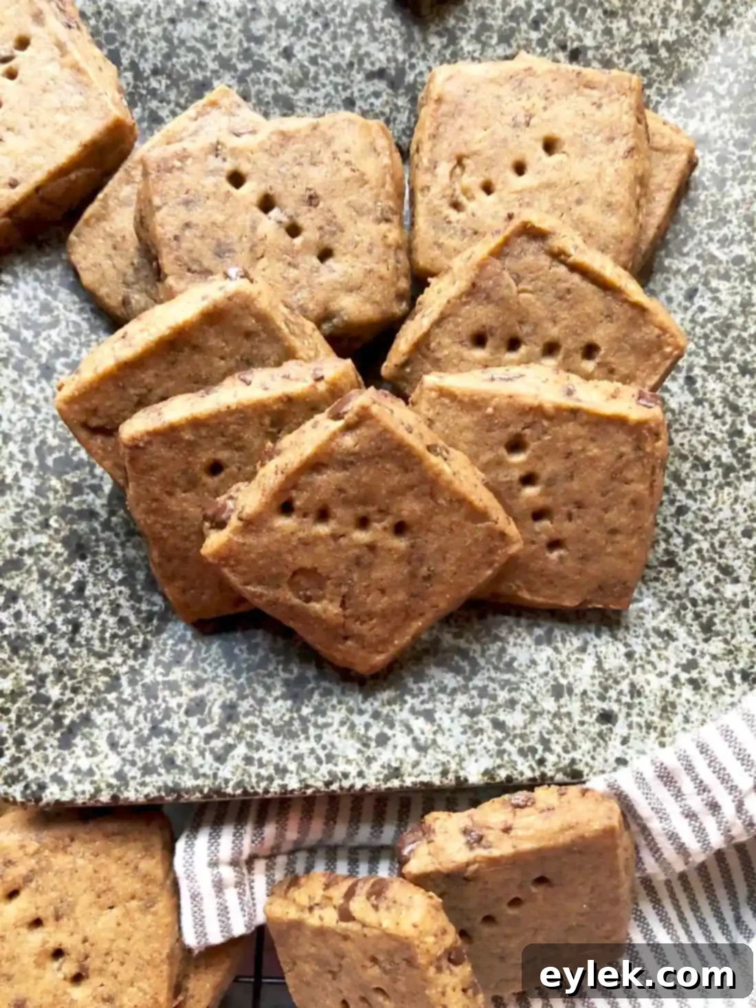 Close-up of an Espresso Chocolate Chip Shortbread Cookie