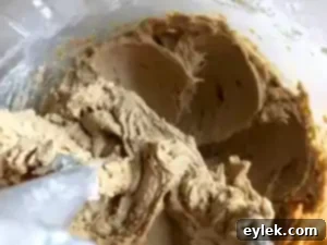 Folding chocolate chips into shortbread dough