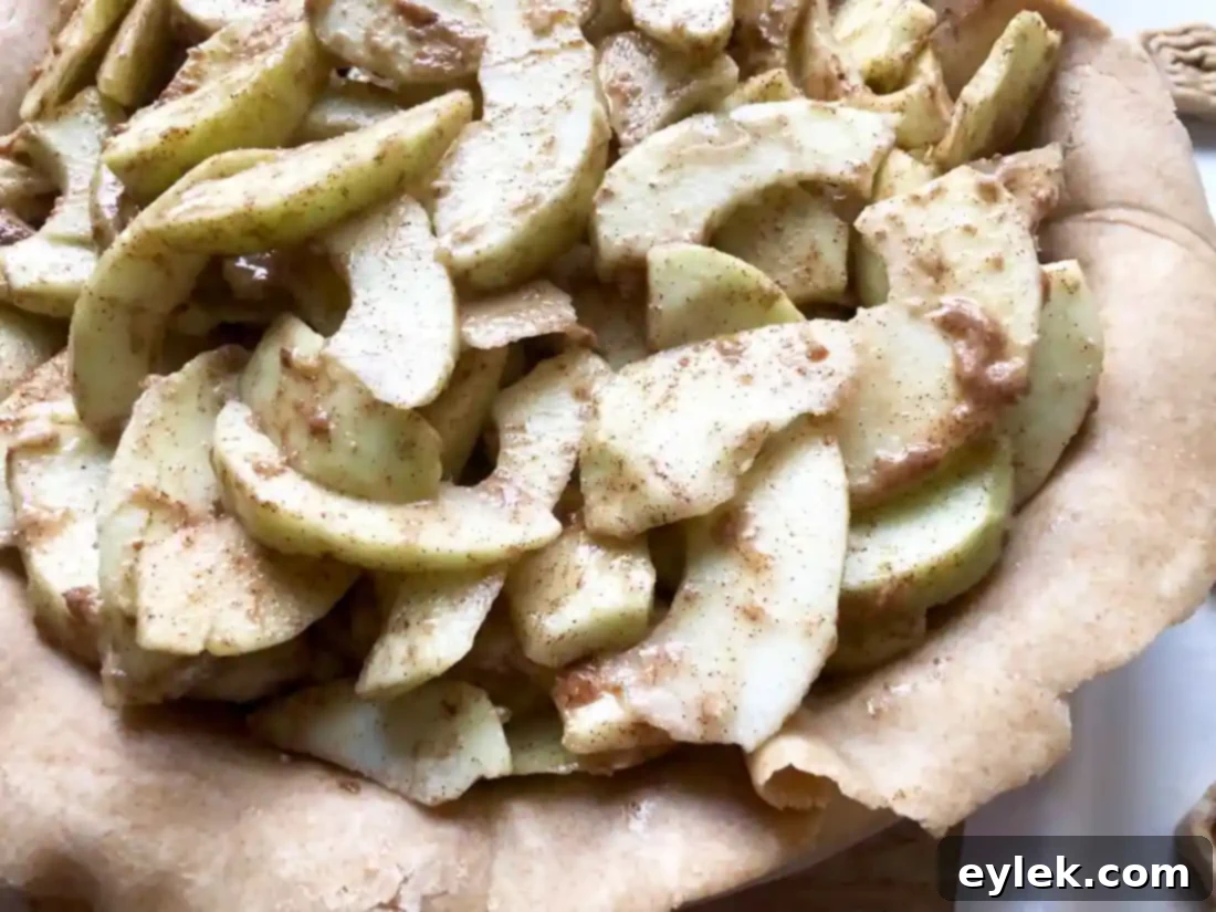 apple filling in pie crust