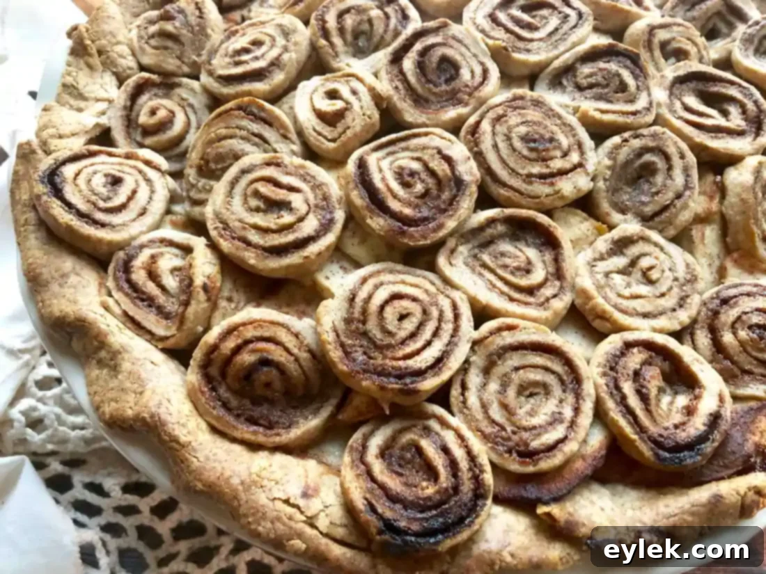 cinnamon swirl apple pie, close up