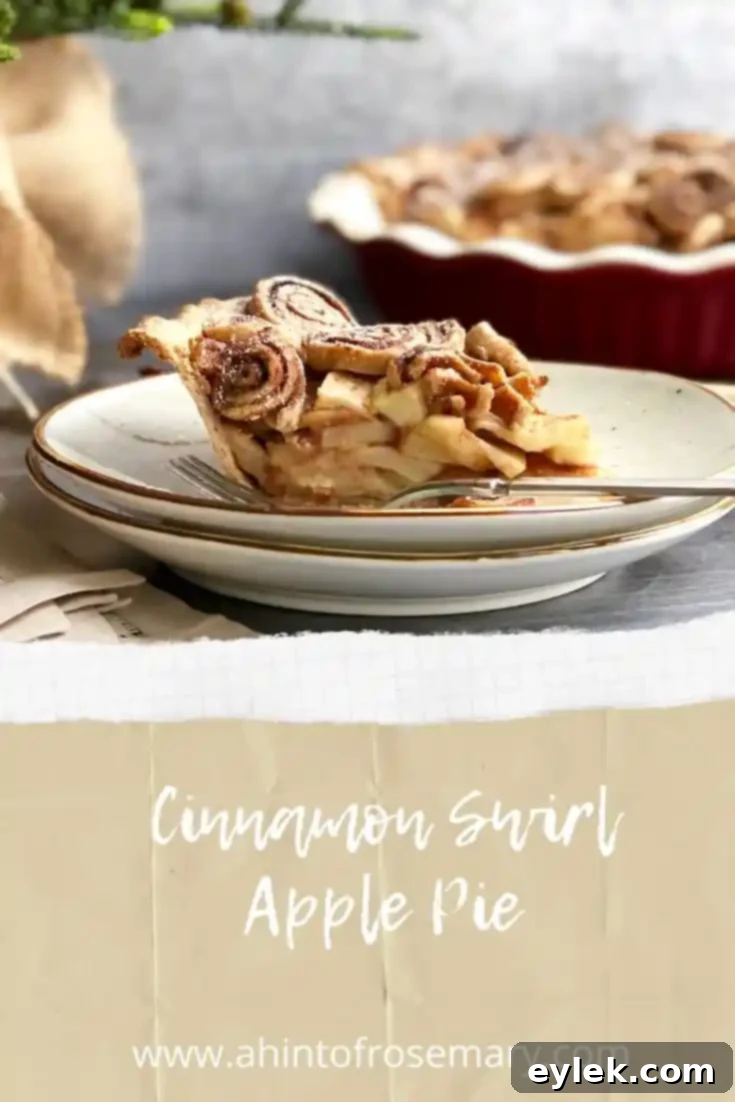 Cinnamon Swirl Apple Pie with a festive topping