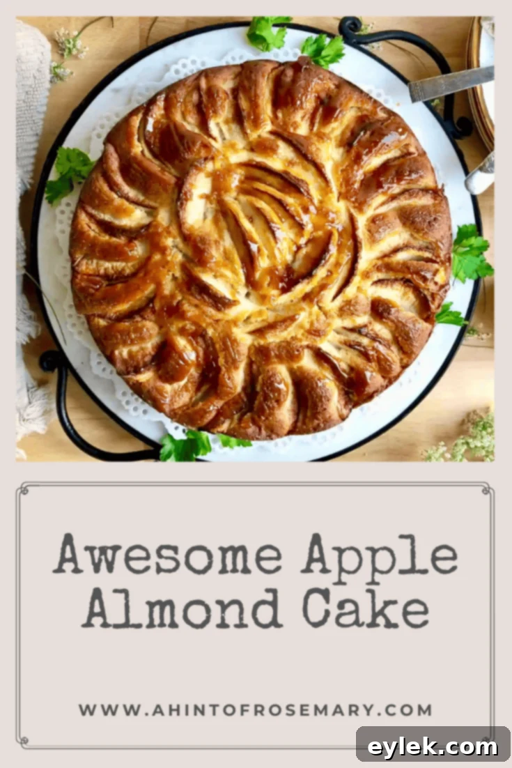 Awesome Apple Almond Cake