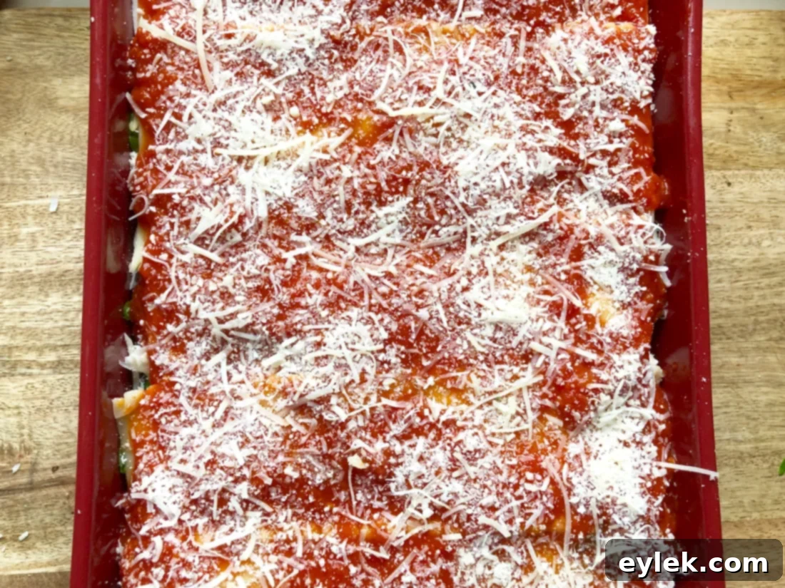 maria's delicious roasted vegetable lasagna