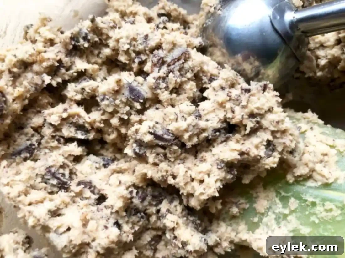 salted oatmeal chocolate chunk cookies