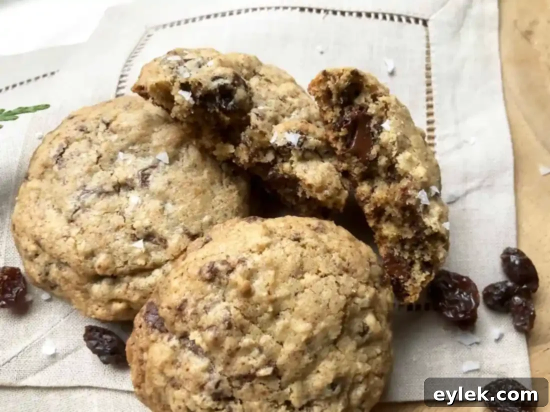 salted oatmeal chocolate chunk cookies