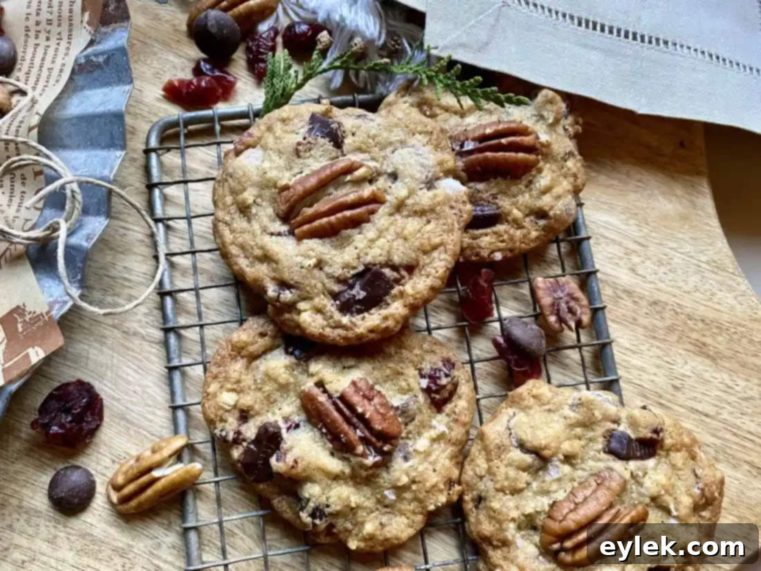 Salted Oatmeal Chocolate Chunk Cookies