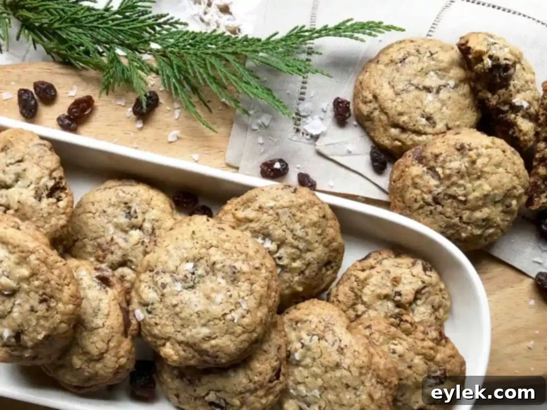 salted oatmeal chocolate chunk cookies
