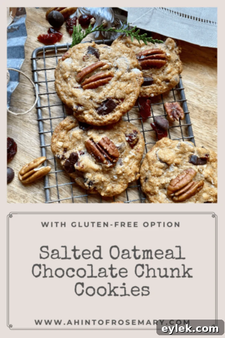 Salted Oatmeal Chocolate Chunk Cookies