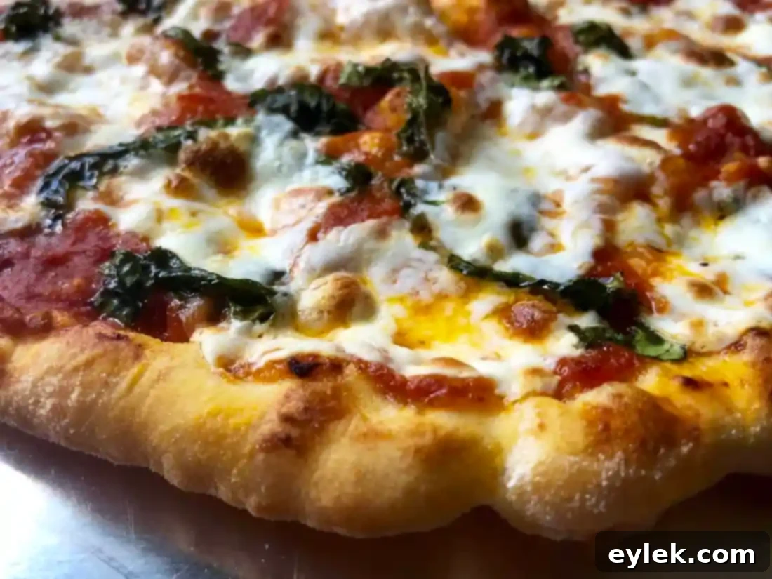 Margherita: Neapolitan Crust Perfection 2 pizza margherita with authentic neopolitan crust